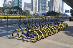 【4分钟科普下】东营市厂子直招最新信息_哔哩哔哩-3